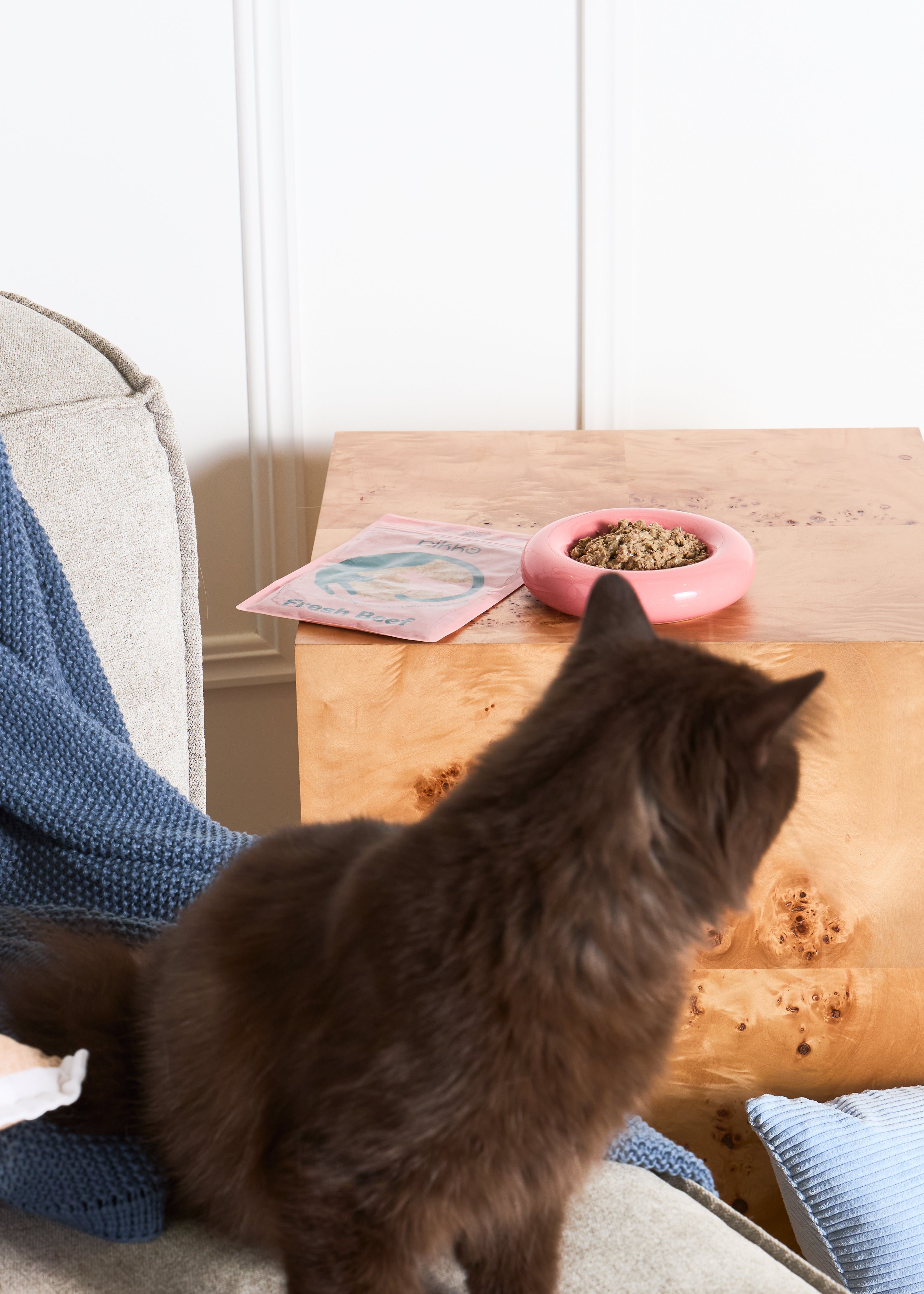 Dark brown cat looking toward a bowl of Pikko fresh food on a side table, next to a pink pouch labeled “Fresh Beef,” in a cozy home setting. Dark brown cat looking toward a bowl of Pikko fresh food on a side table, next to a pink pouch labeled “Fresh Beef,” in a cozy home setting.
