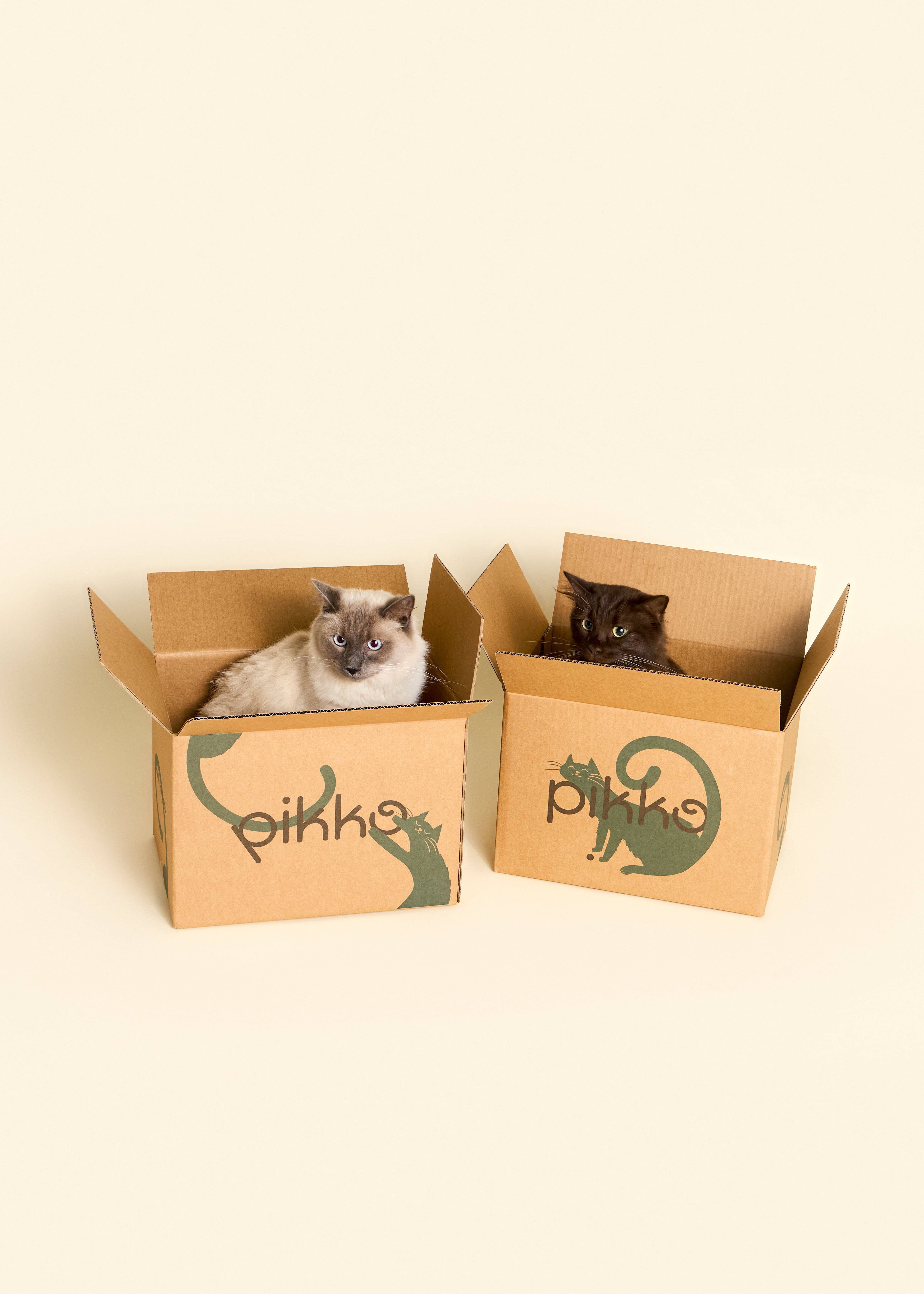 Two cats sitting inside Pikko-branded delivery boxes, showcasing playful packaging and the cat-approved unboxing experience. Two cats sitting inside Pikko-branded delivery boxes, showcasing playful packaging and the cat-approved unboxing experience.