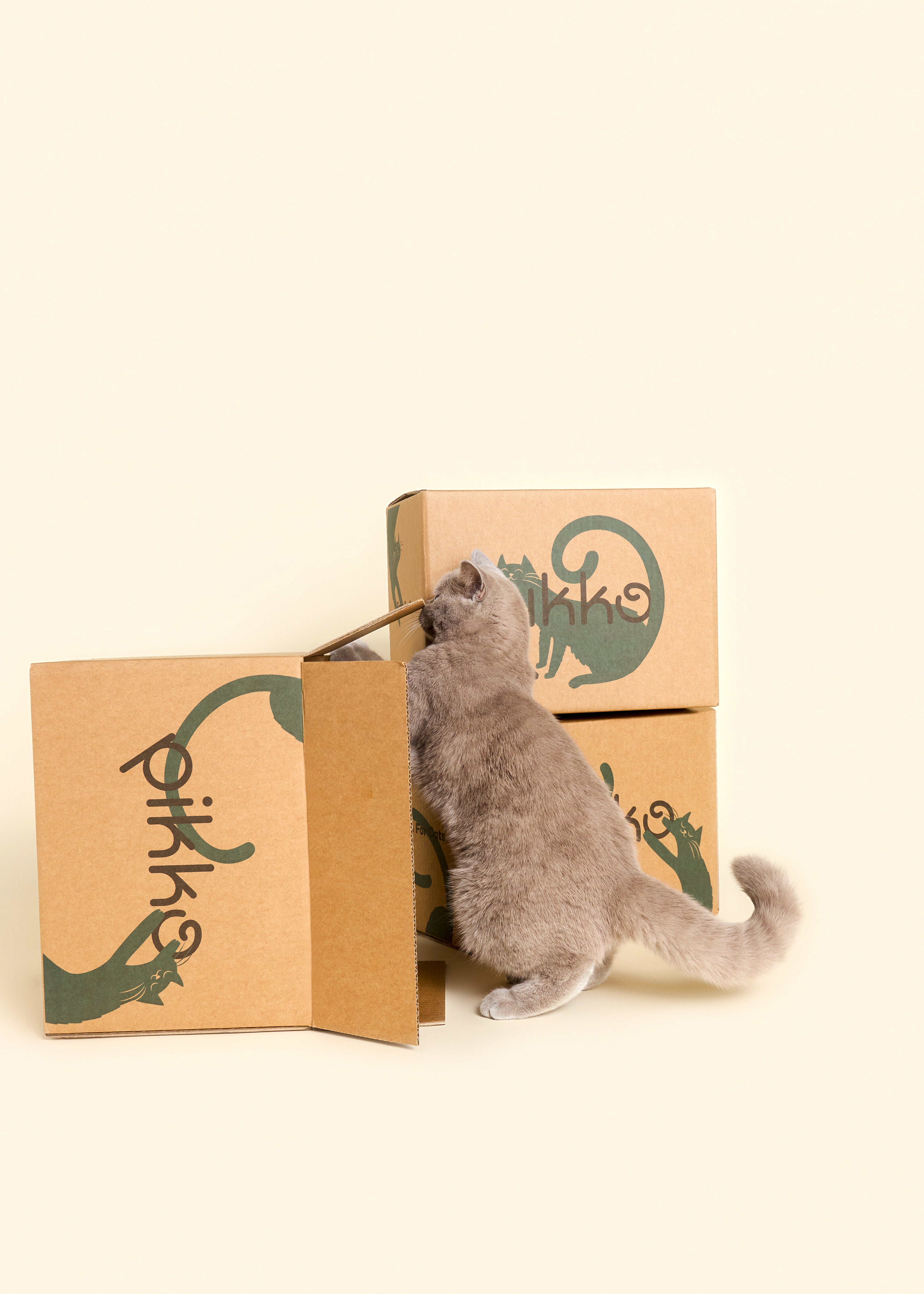 Curious grey cat peeking into a Pikko-branded delivery box, with two more stacked behind it, highlighting Pikko’s playful and cat-approved packaging.
 Curious grey cat peeking into a Pikko-branded delivery box, with two more stacked behind it, highlighting Pikko’s playful and cat-approved packaging.