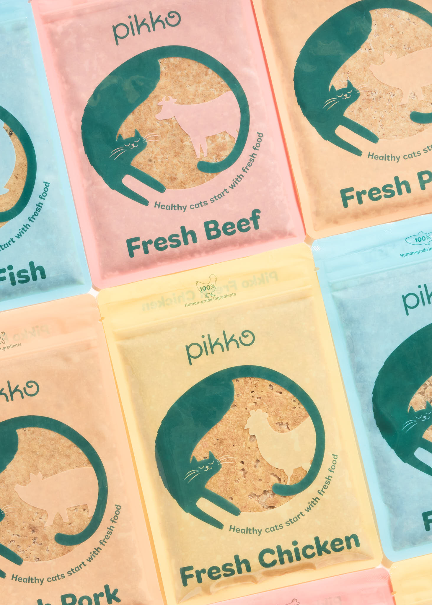 Flat lay of PIKKO fresh cat food pouches featuring beef, chicken, fish, and pork recipes with human-grade ingredients Flat lay of PIKKO fresh cat food pouches featuring beef, chicken, fish, and pork recipes with human-grade ingredients