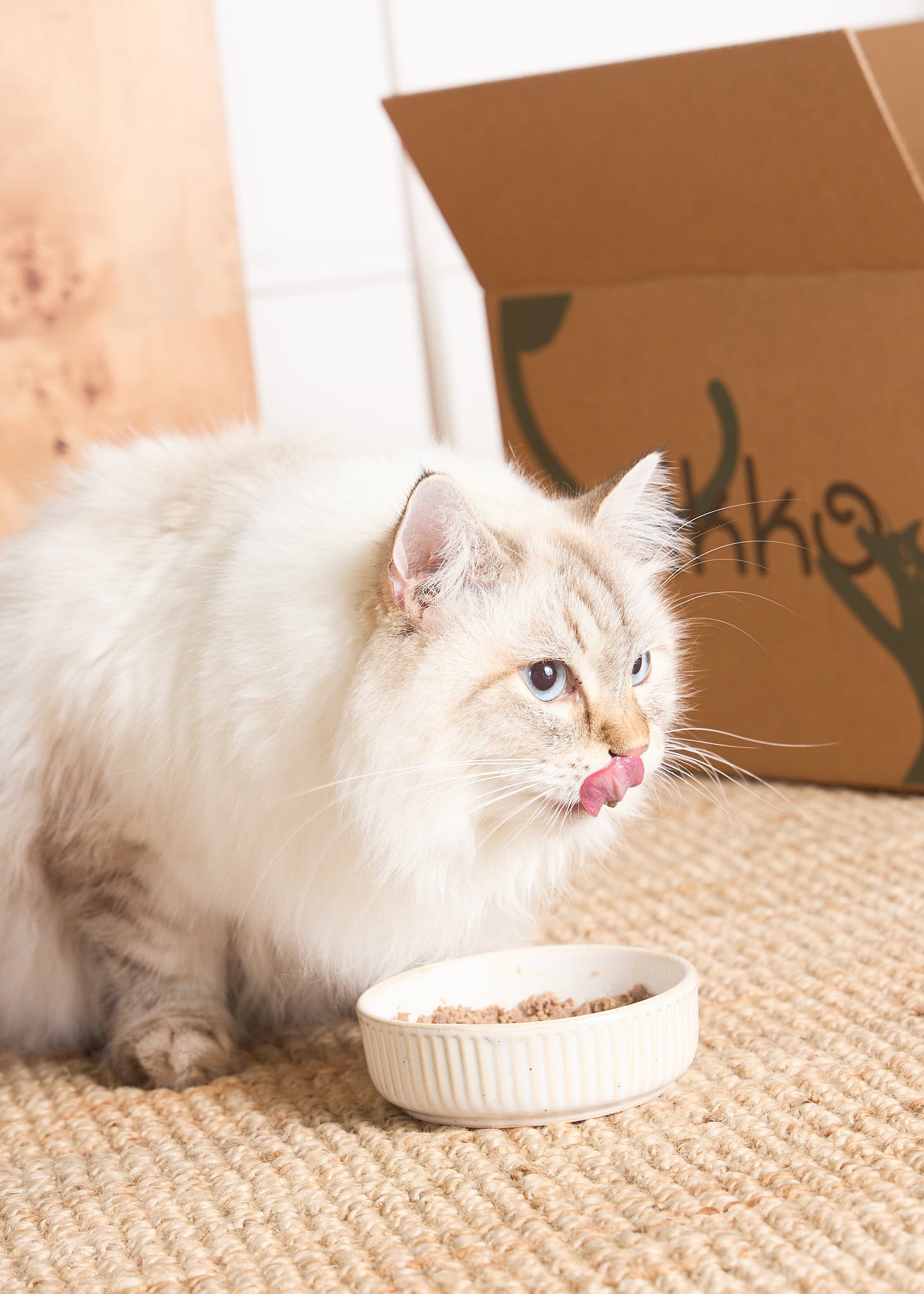 Fluffy white cat licking its lips beside a bowl of Pikko fresh food, with a branded Pikko delivery box in the background. Fluffy white cat licking its lips beside a bowl of Pikko fresh food, with a branded Pikko delivery box in the background.