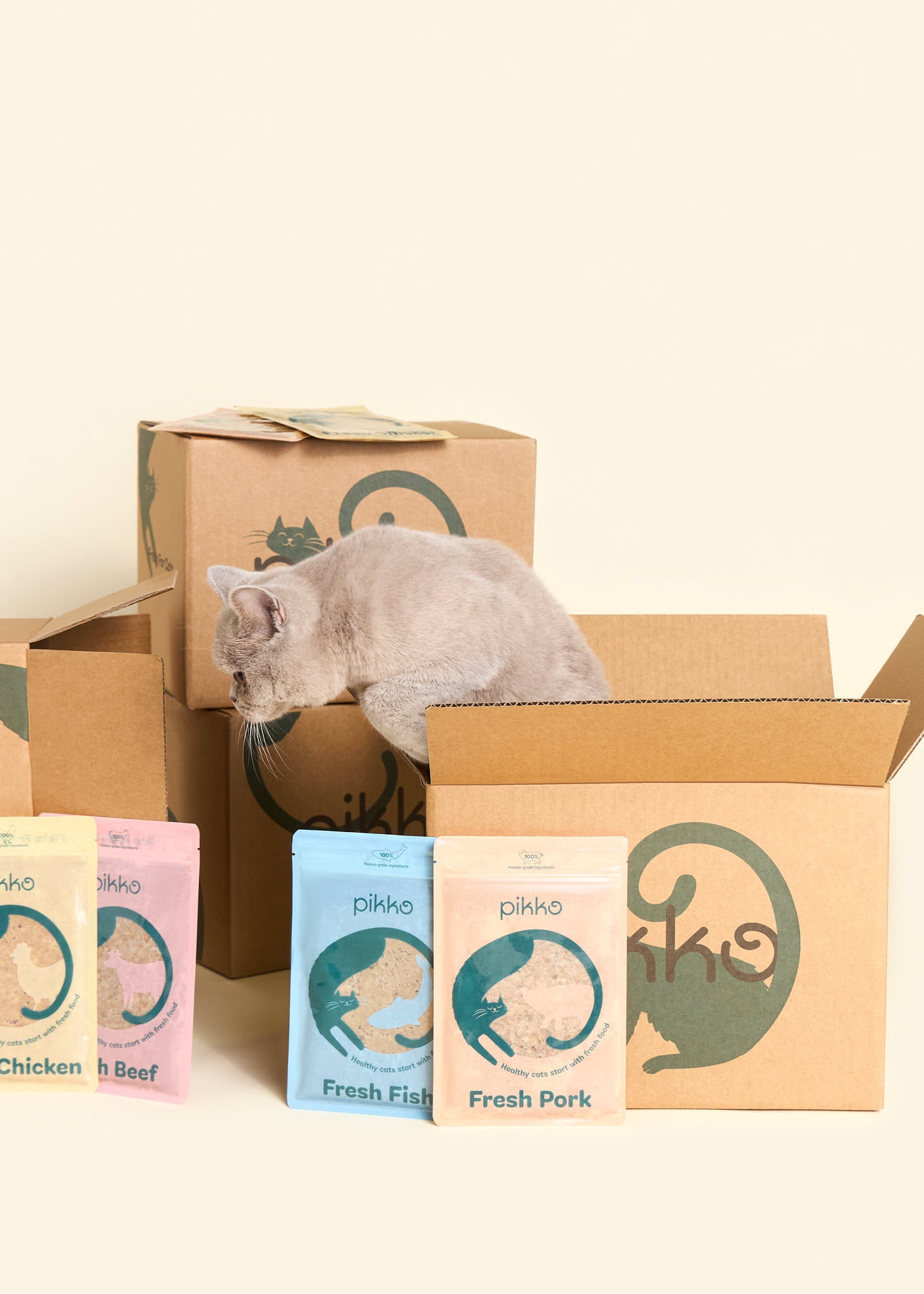 Light grey cat jumping and exploring Pikko-branded delivery boxes, with fresh cat food pouches (Chicken, Beef, Fish, Pork) displayed in front. Light grey cat jumping and exploring Pikko-branded delivery boxes, with fresh cat food pouches (Chicken, Beef, Fish, Pork) displayed in front.