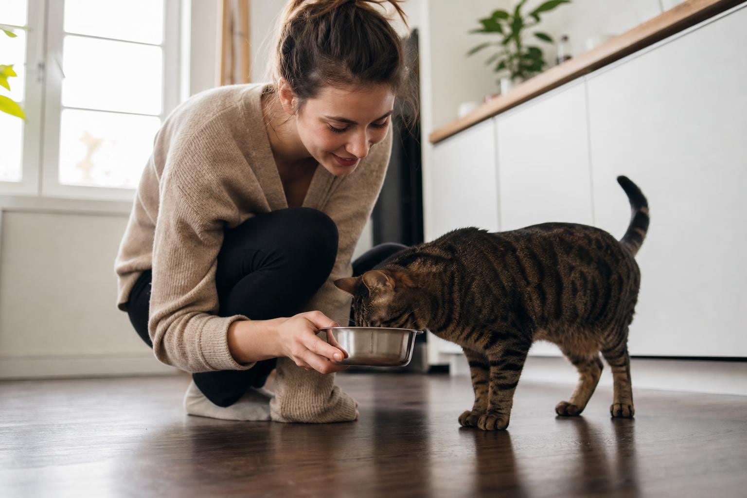 Ethical Cat Food Australia: 6 Best Brands for 2026