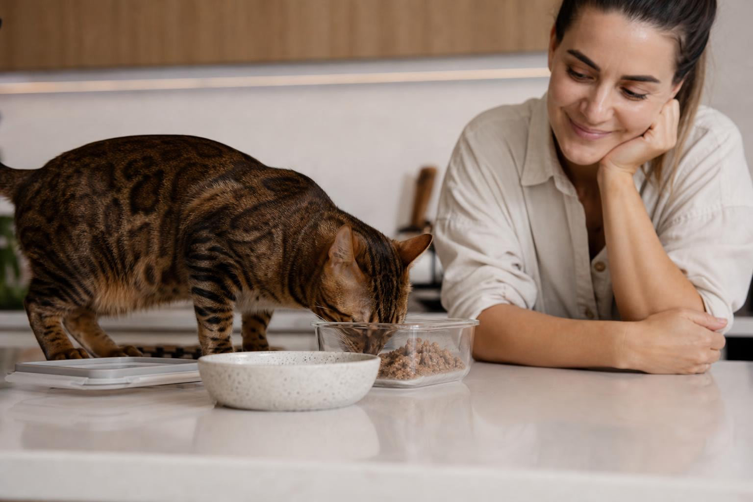 What Is the Best Fresh Cat Food in Australia (2026 Guide)