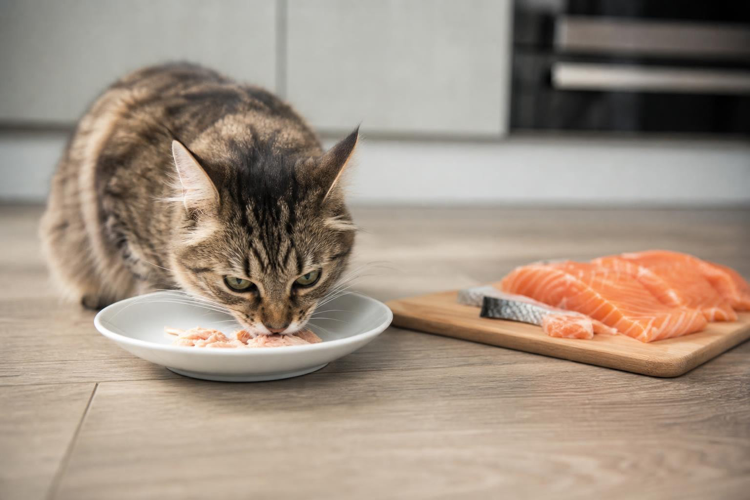 Is Fish Good for Cats? 2026 Vet-Backed Feeding Guide