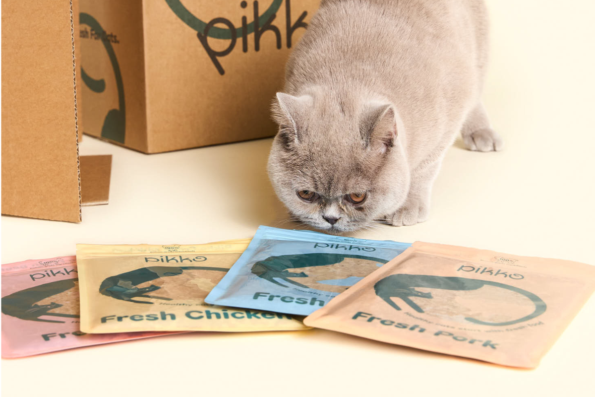 How to Switch Your Cat to Pikko: A Step-by-Step Transition Guide