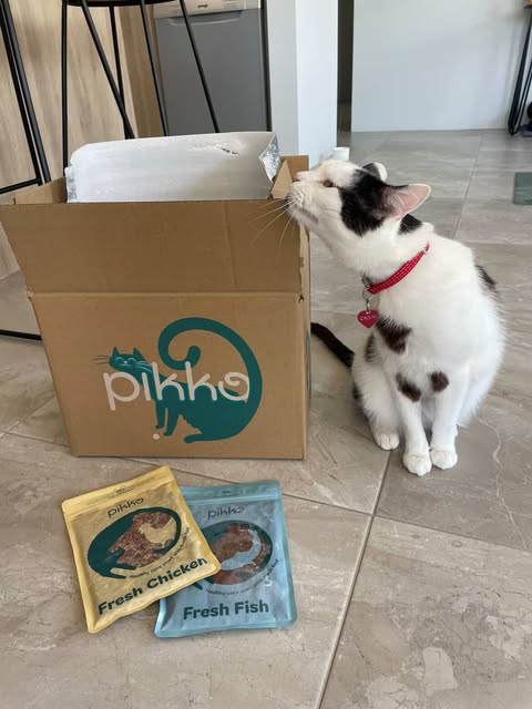 Pikko