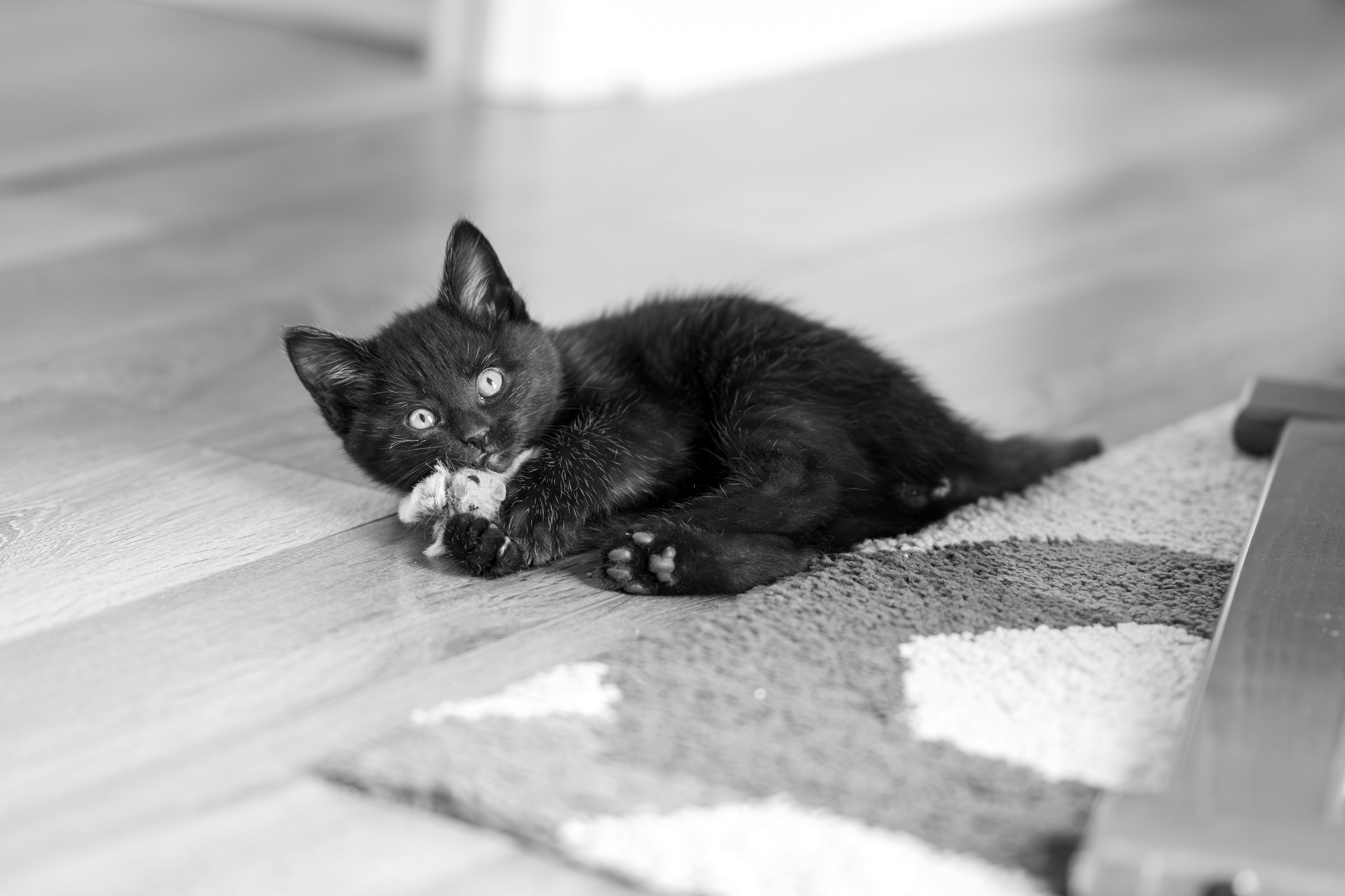Pikko